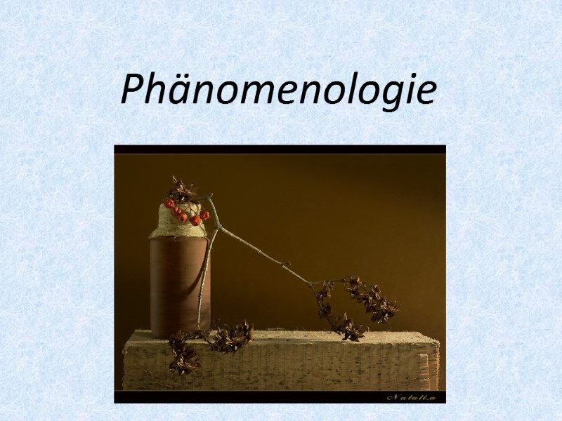 Phänomenologie